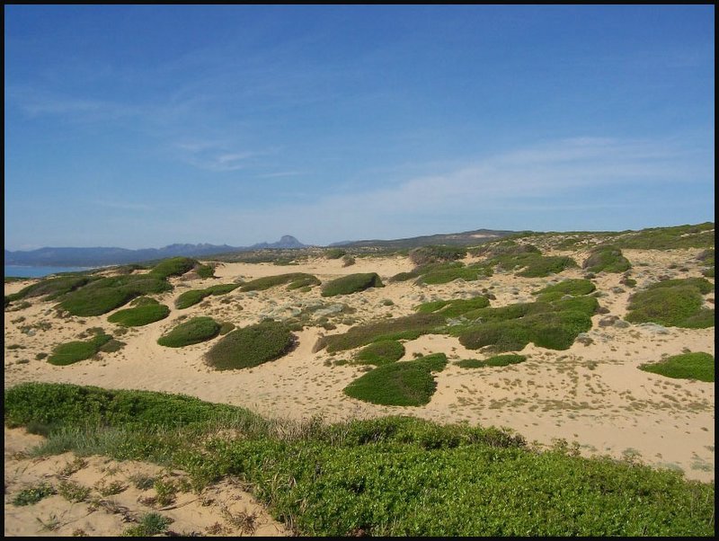 SCIVU Sardegna Sud  Occidentale